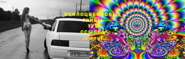 jwh Касимов