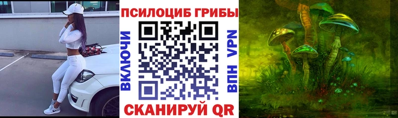 Купить Пудож Псилоцибиновые грибы MAGIC MUSHROOMS
