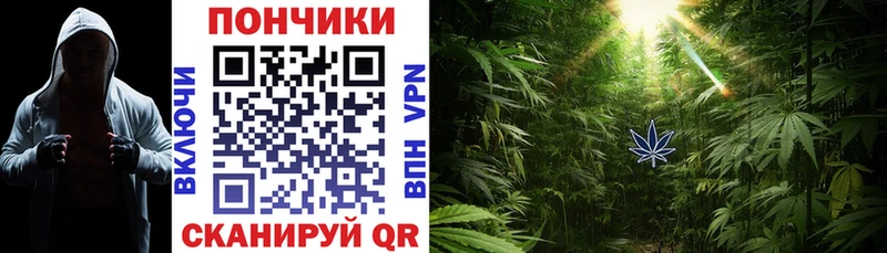 Купить закладки Пудож Бошки марихуана Amnesia